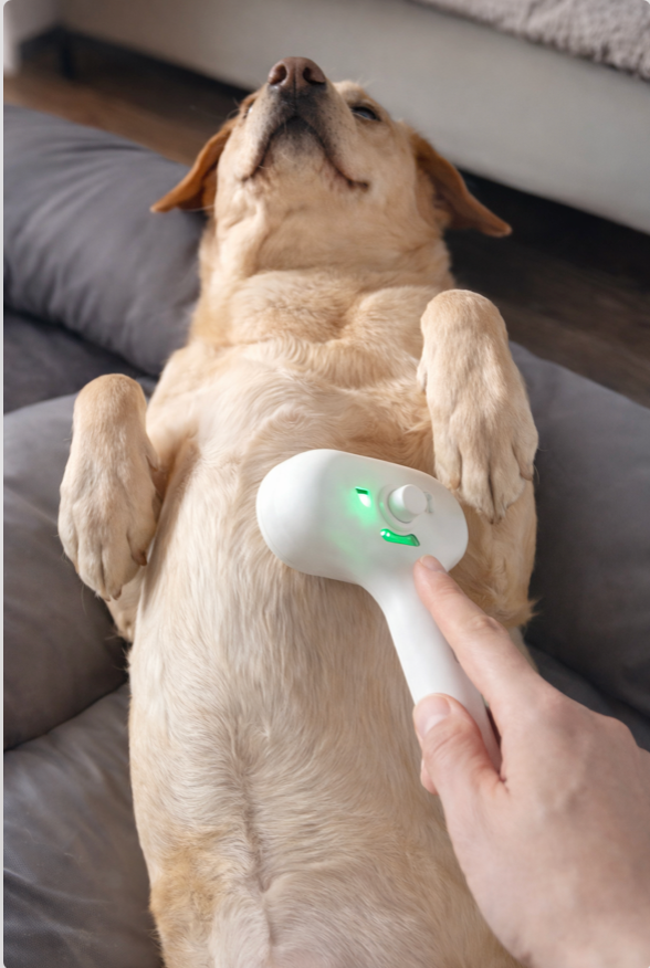 SteamBrush Pro™ | Brosse Vapeur Anti-Poils Chien & Chat