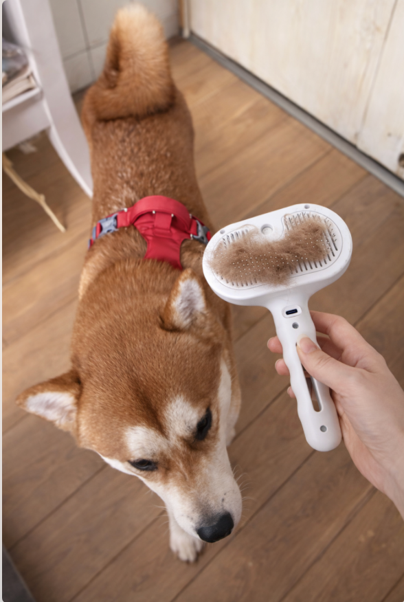 SteamBrush Pro™ | Brosse Vapeur Anti-Poils Chien & Chat